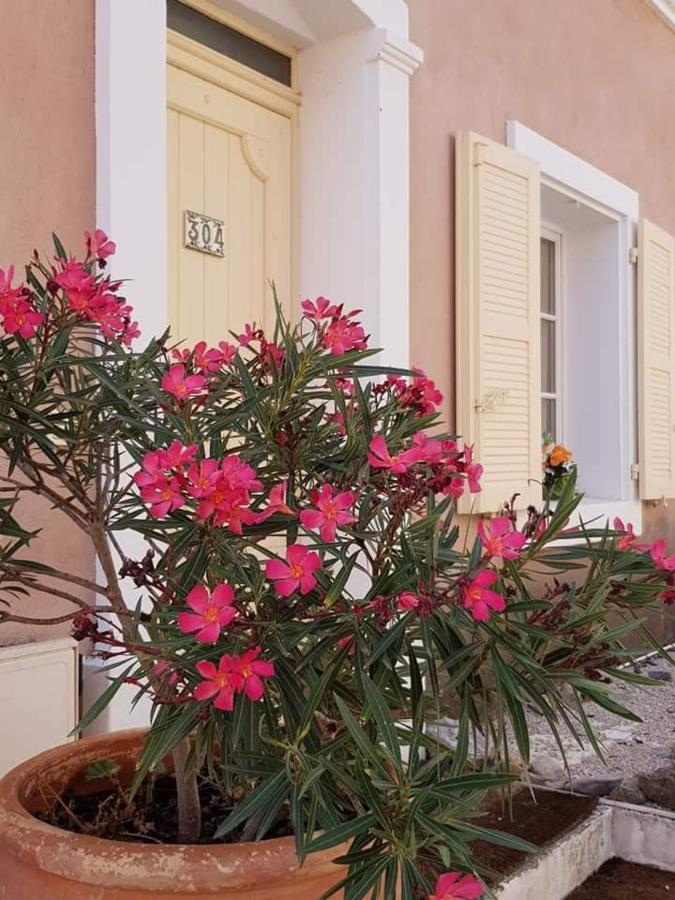 Provencal House In Fayence With Pool & Indoor Spa Eksteriør bilde